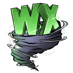 WX Server Logo